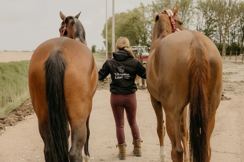 Oud Campen - foto 1