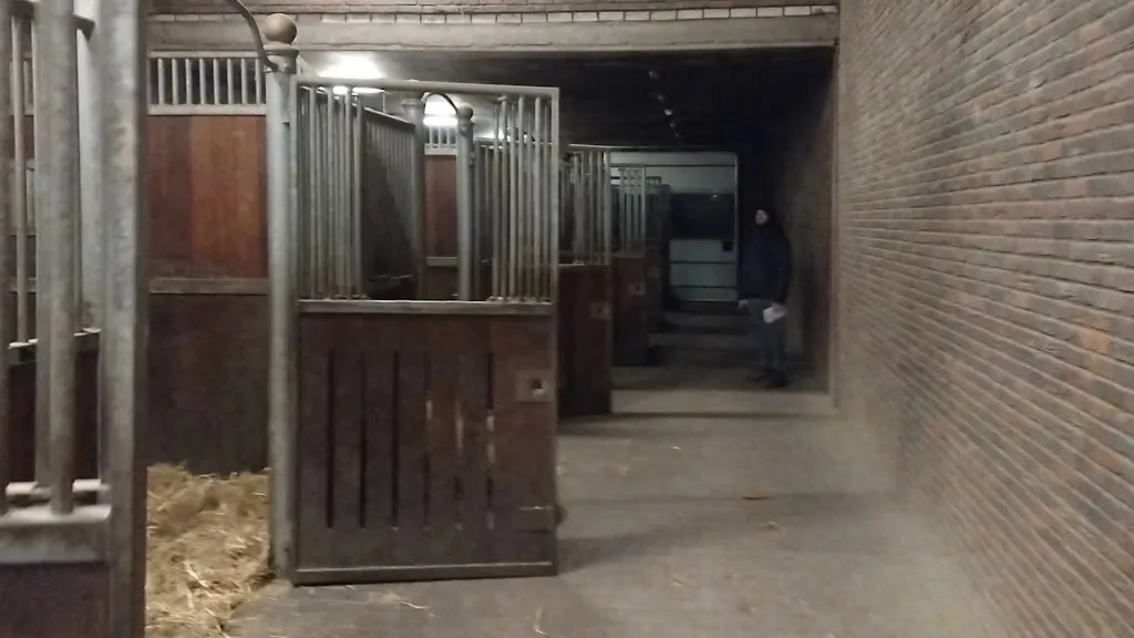 Adora Stable - foto 2