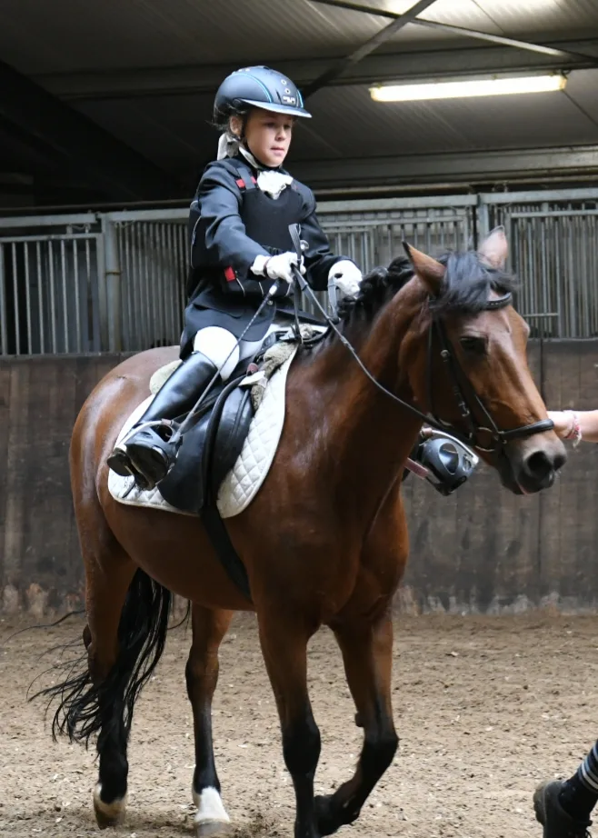 Manege Morgenstond - foto 2