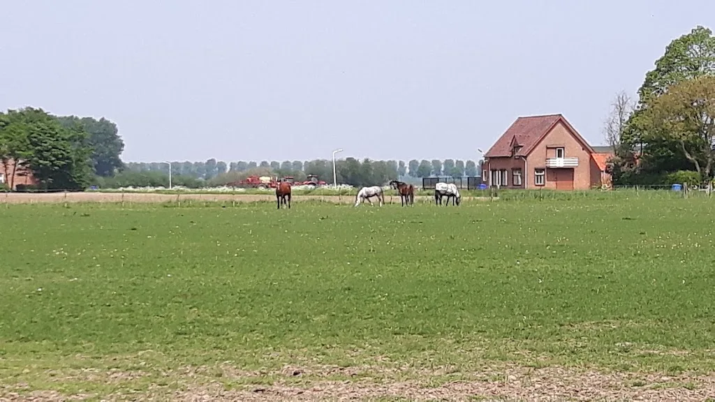 Stal De Zuidweg - foto 2