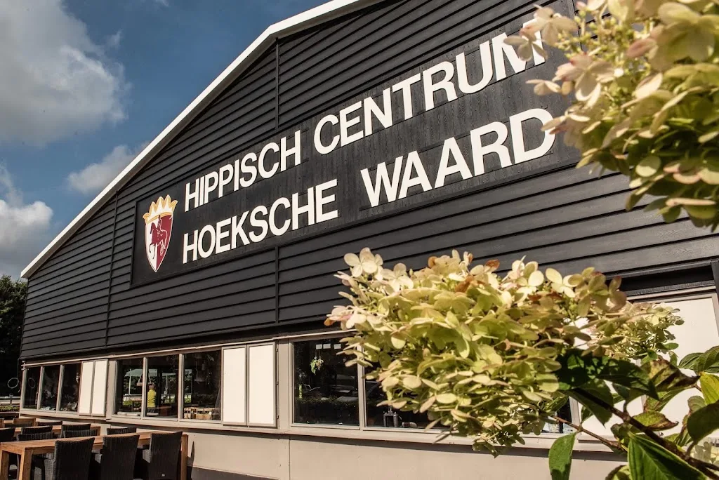Paardenhouderij A. Hoogendonk - foto 3