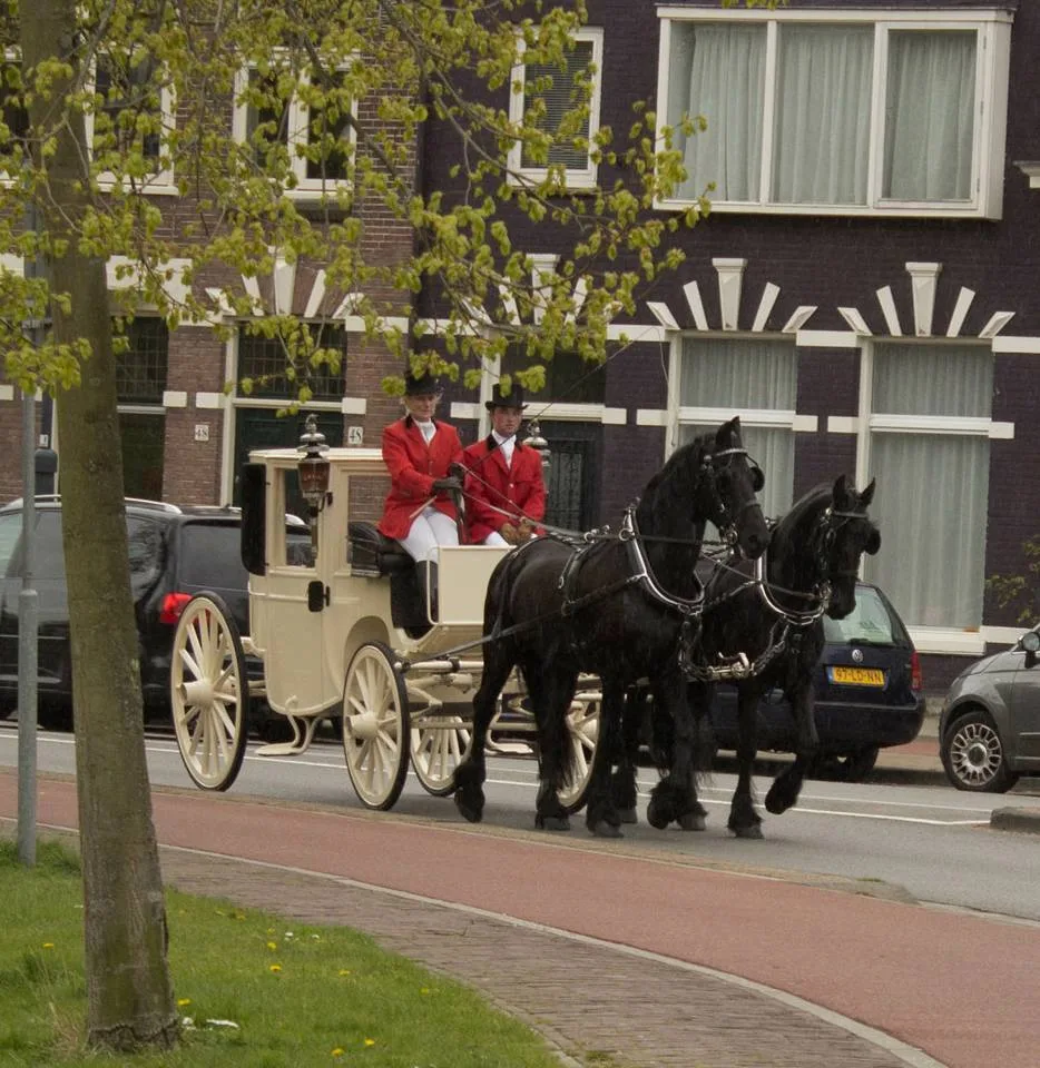 Ruitersportcentrum Schoteroog - foto 3