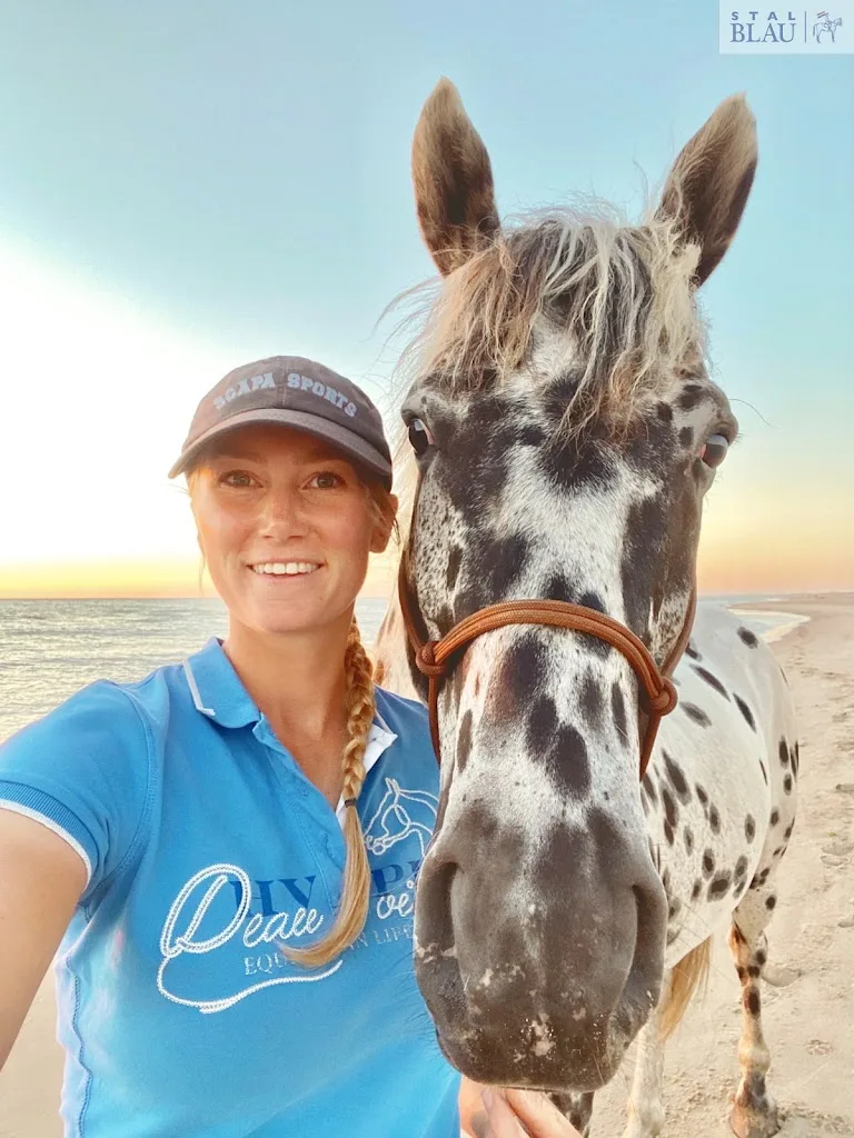 Paarden Sportmassage & Instructie Isabelle Weijling - foto 1