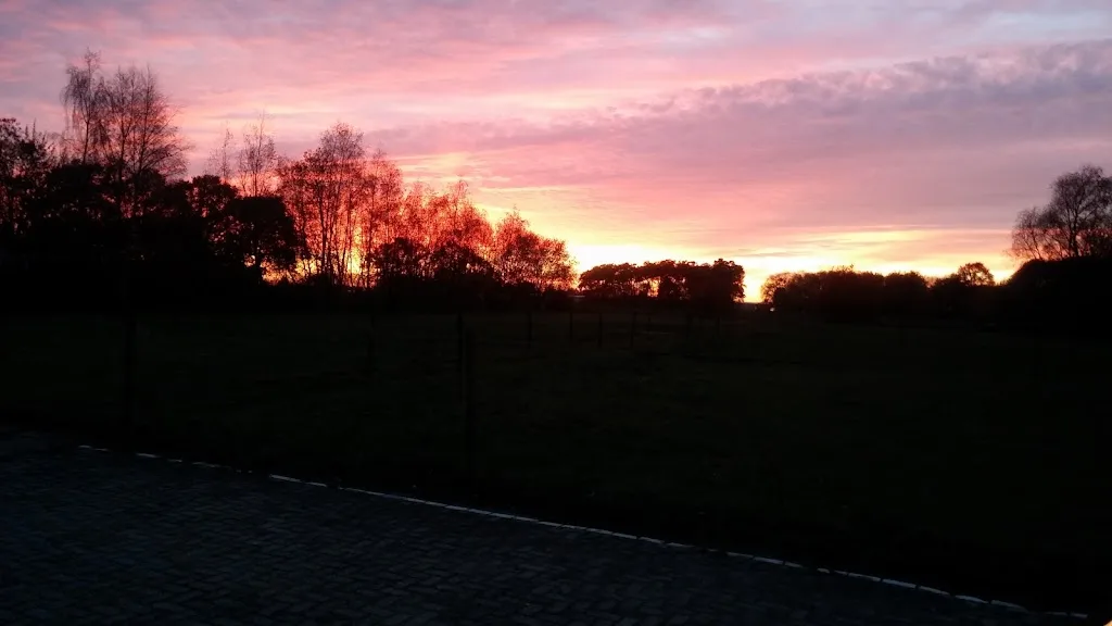 "Stal De Graaf" - foto 2
