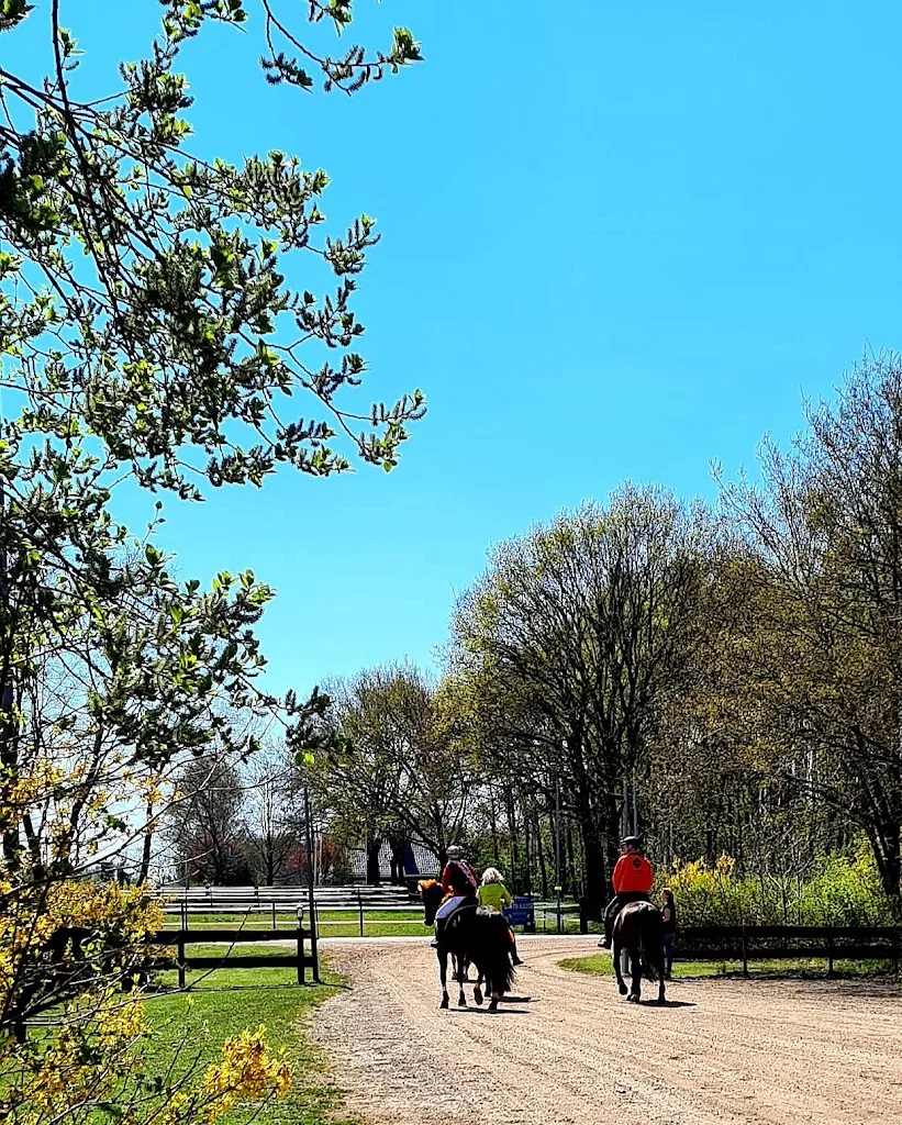 Manege De Driesporen - foto 1