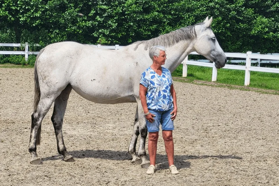 Stal rosenboom - foto 1