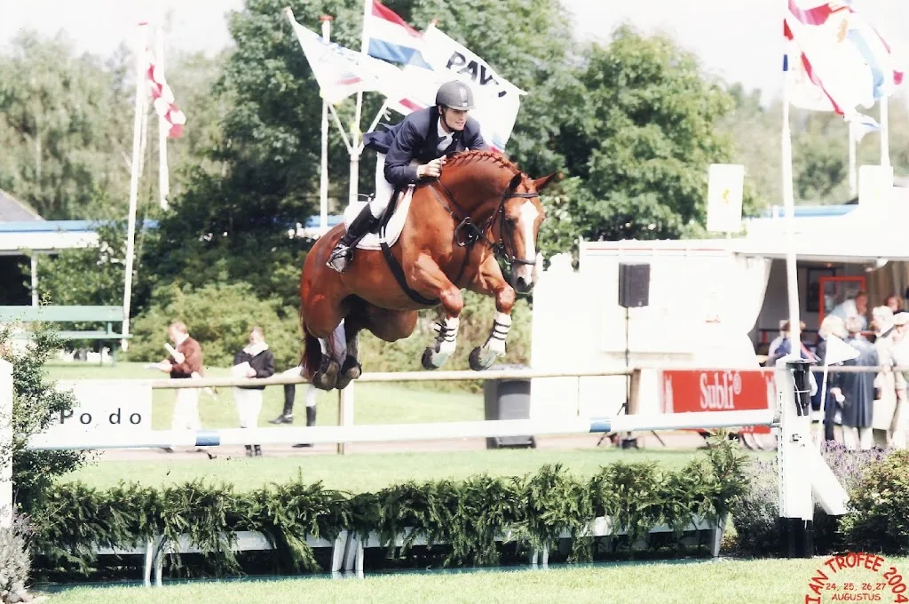 Stal Harry de Vries - foto 2