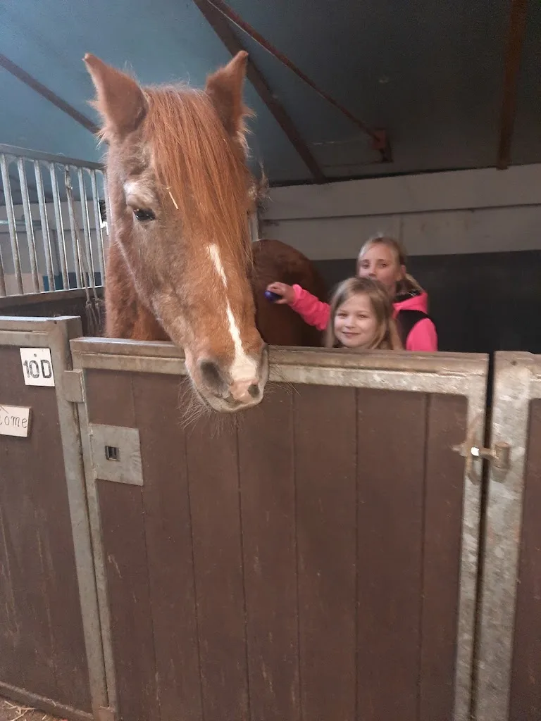 Old Horse Farm Rusthuis voor paarden en pony's - foto 1
