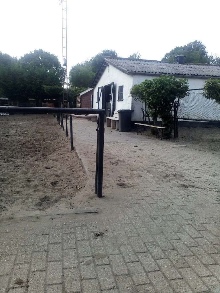 Manege Ten Hagen 🐎 - foto 3