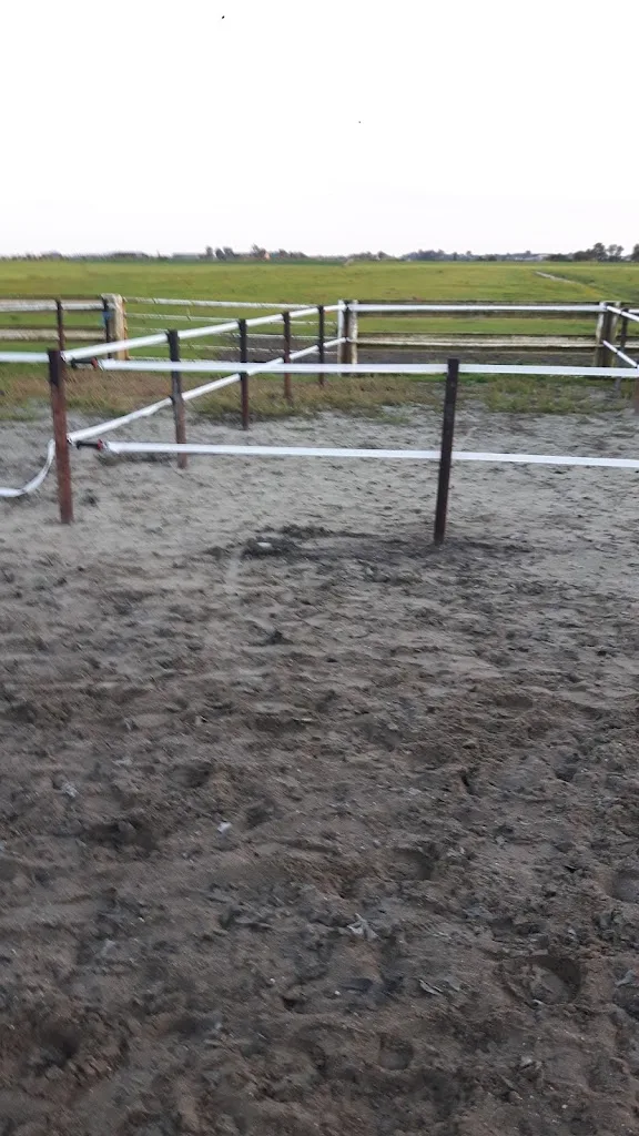 Hippisch Centrum Zeegersloot (manege en pensionstal) - foto 1