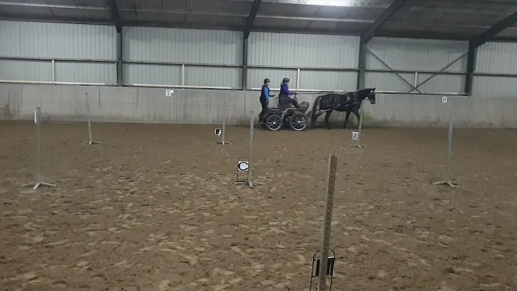 Hippisch Centrum Zeegersloot (manege en pensionstal) - foto 3