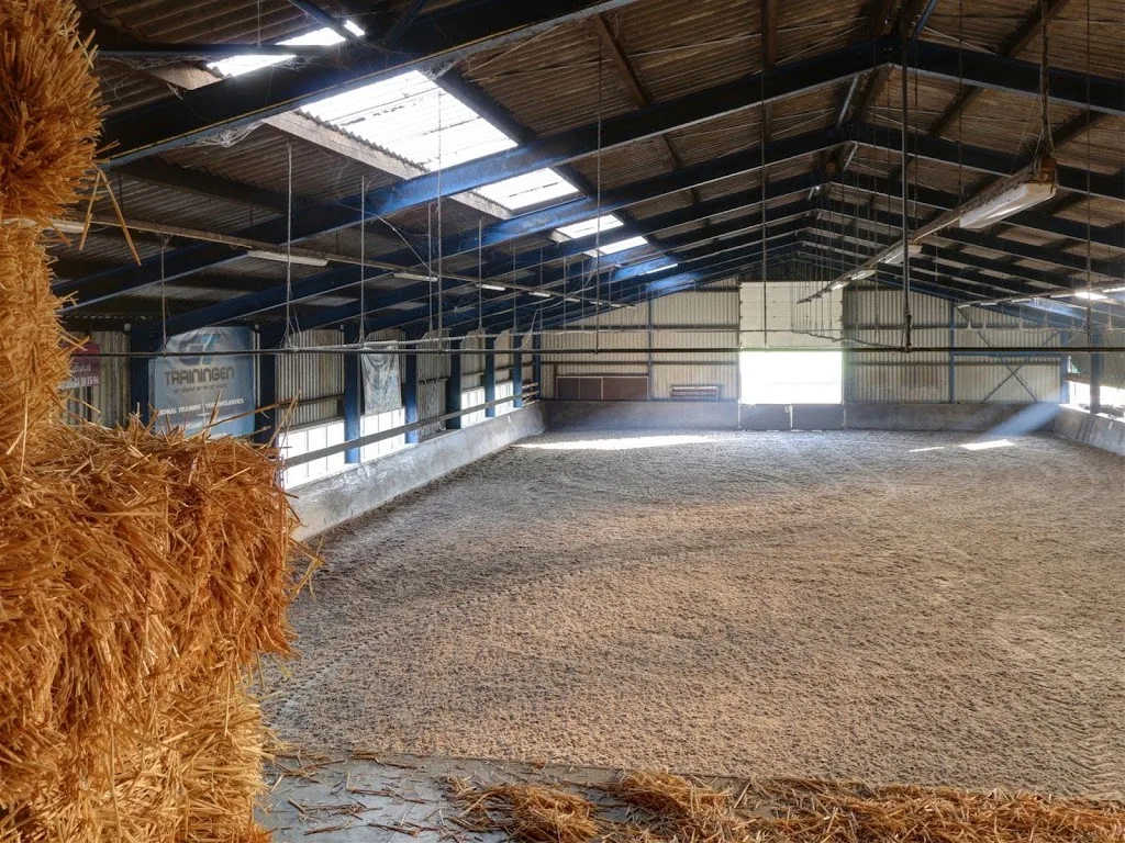 Mivadami Pensionstal, Paardencoaching & Dagbesteding - foto 1