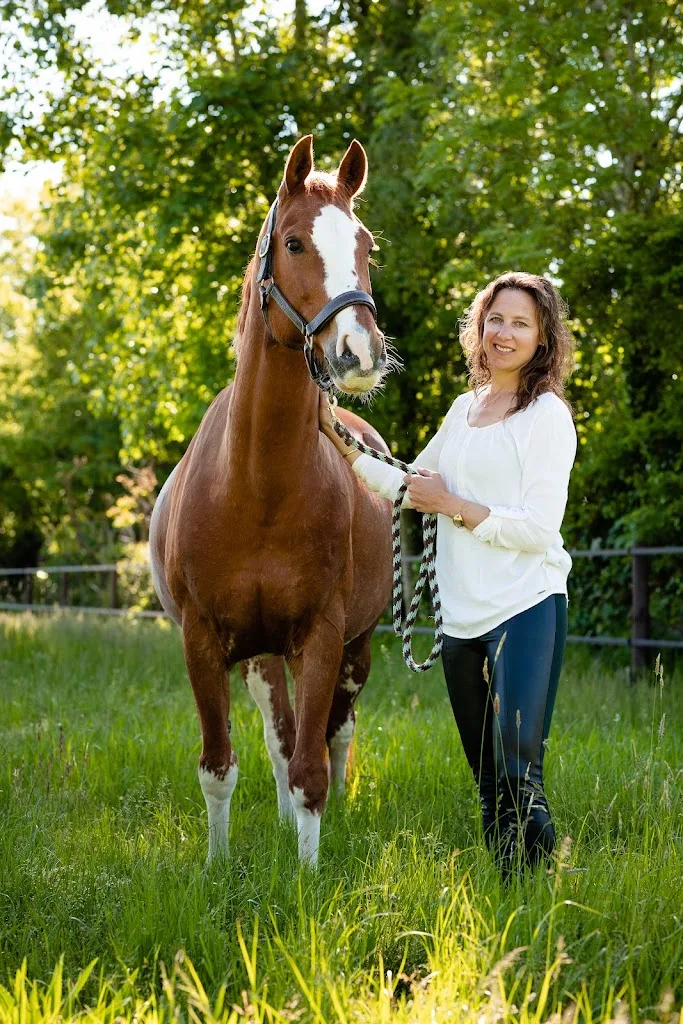 Mivadami Pensionstal, Paardencoaching & Dagbesteding - foto 2