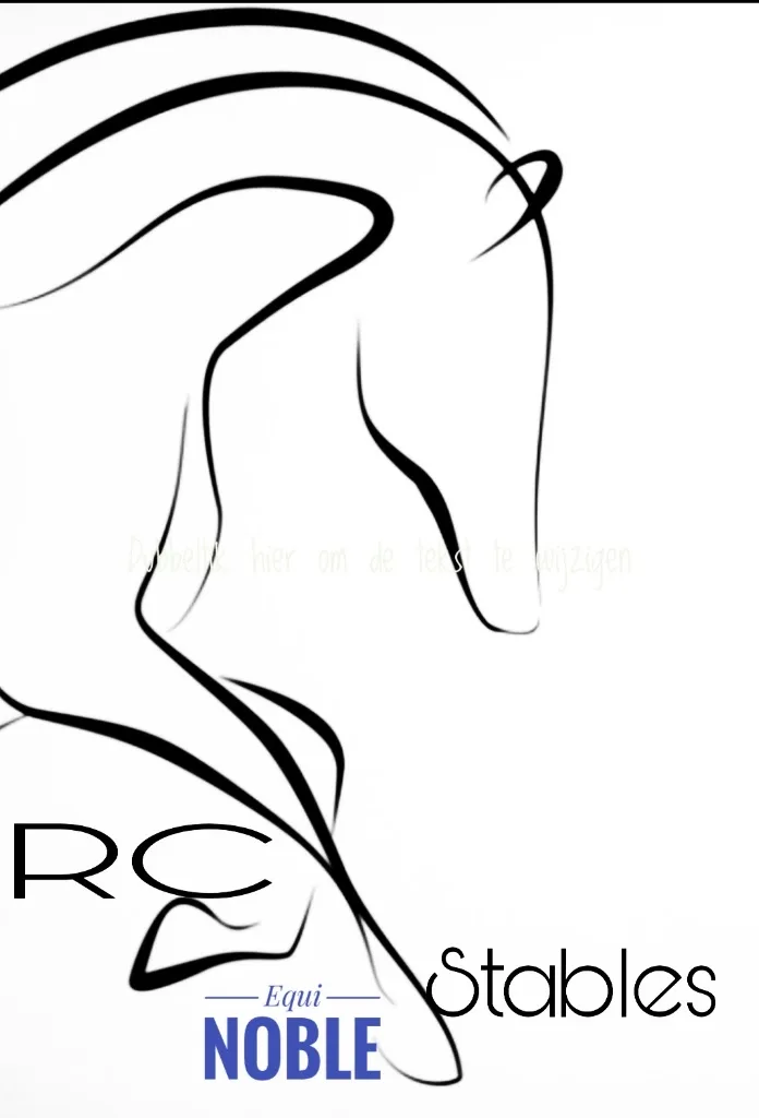 RC Stables - foto 2