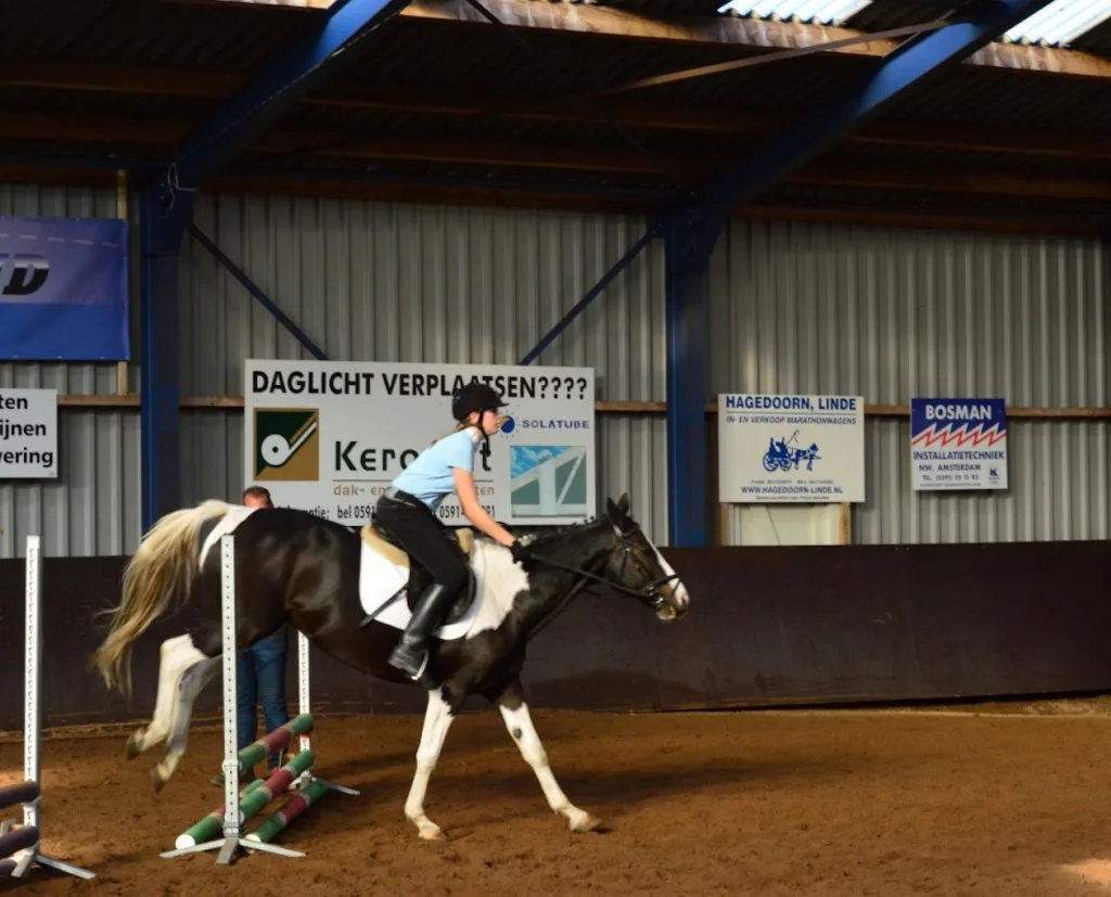 Manege Boekweitakkers - foto 2