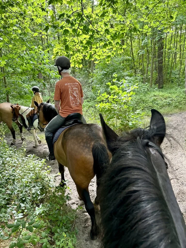 Manege De Seeruyter - foto 1