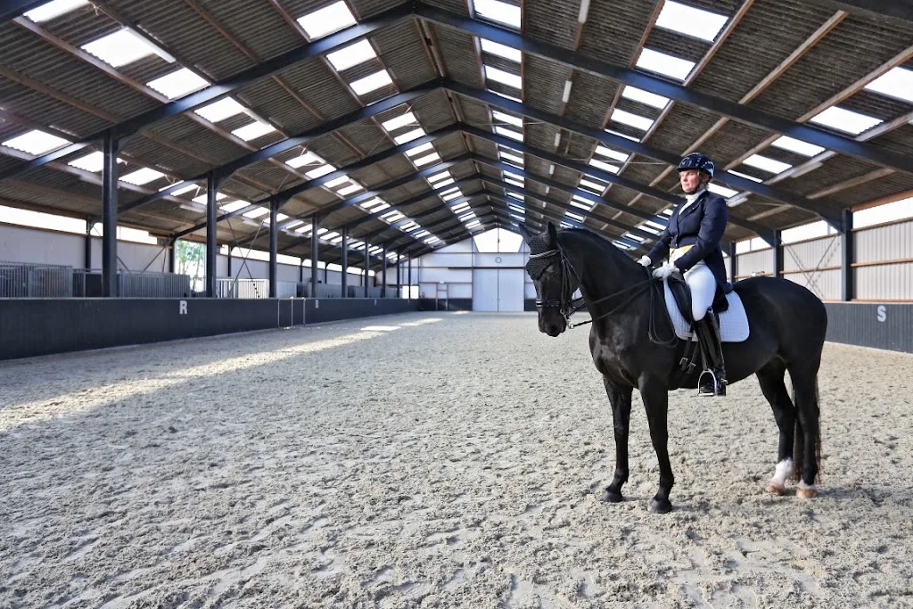 CALT Premium Stables - foto 1
