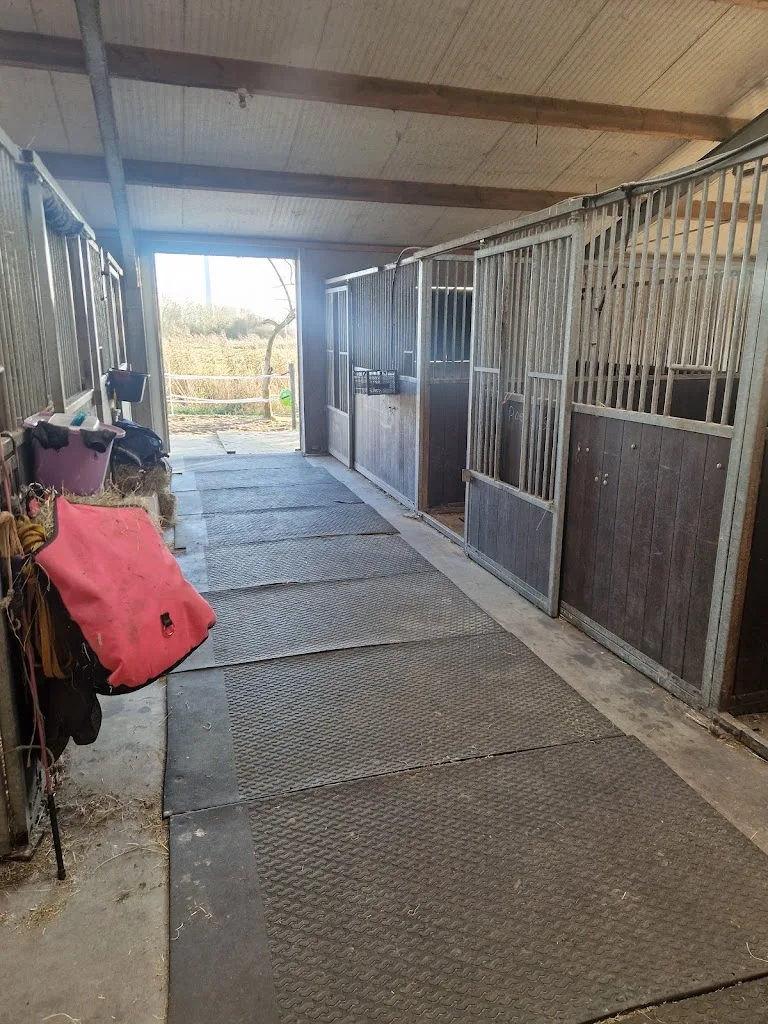 Star-Stables - foto 2