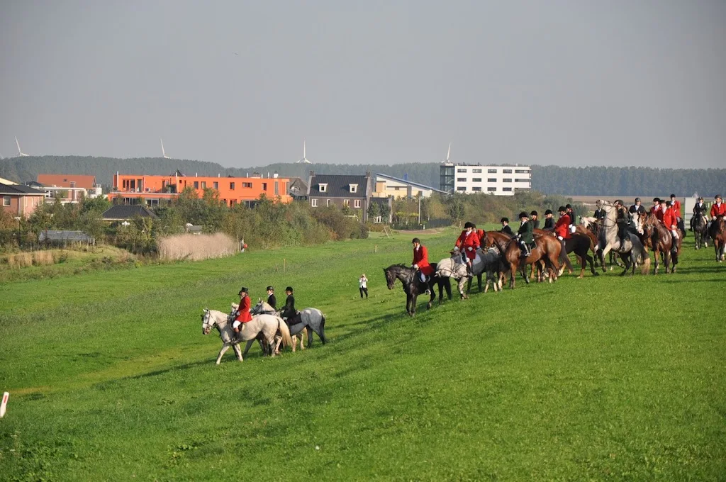 Schouten Hippique B.V. - foto 2