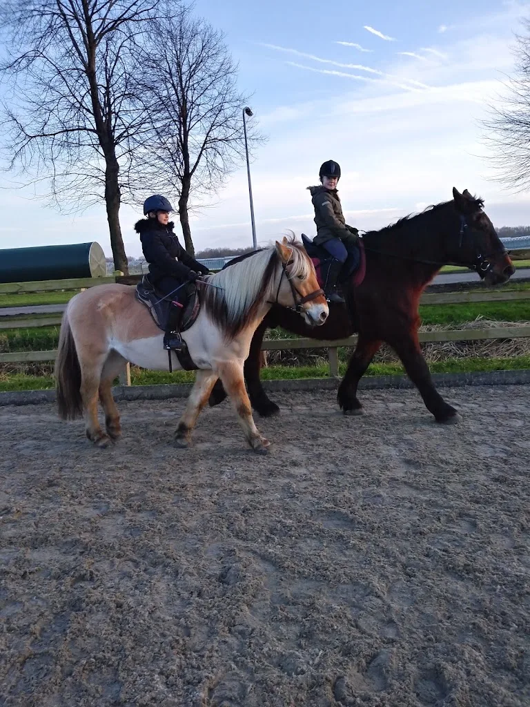 Schouten Hippique B.V. - foto 3