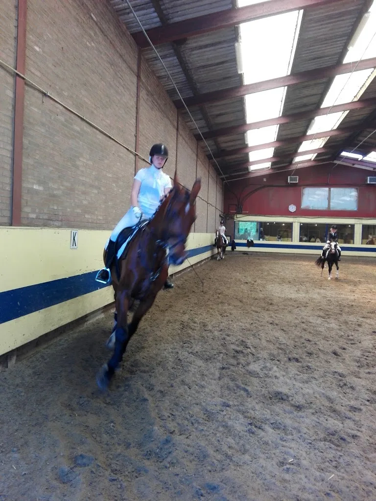 Bon Bon Paardenpension - foto 3
