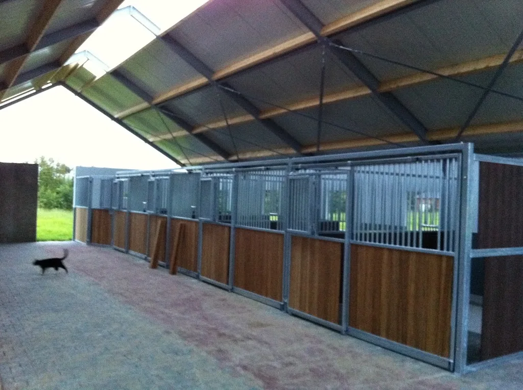 WK Sportpaarden - foto 2