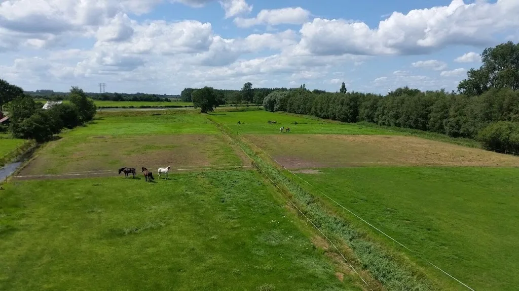 Stal Heringa - foto 3