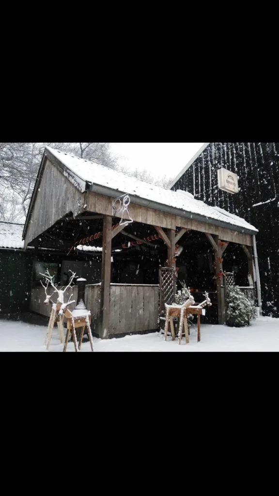 Stal Driene - foto 2