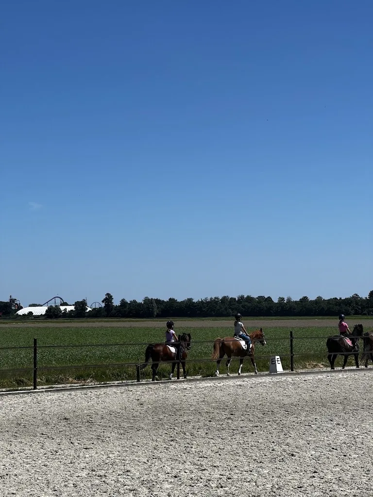 Koopman Horses - foto 3