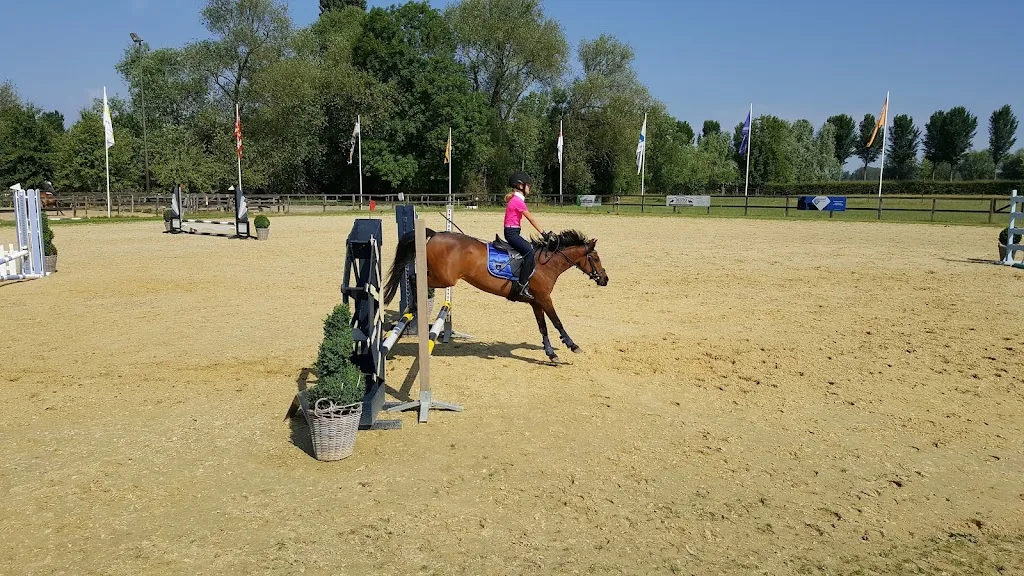 De Weelruiters - foto 1