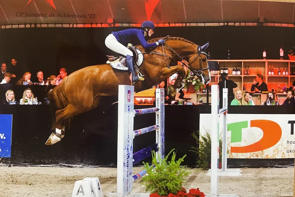 Stal Smit sporthorses - foto 1