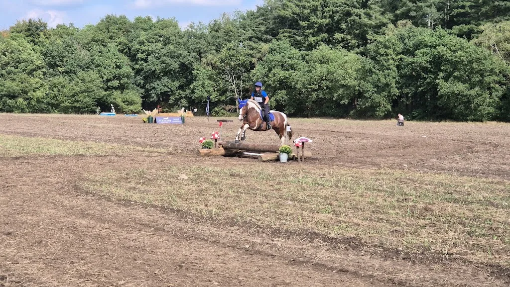 Stal Bolderman B.V. - foto 3