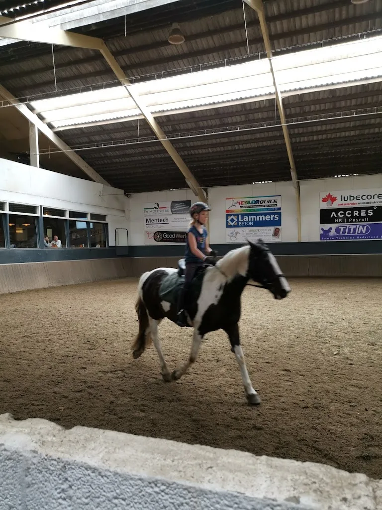 Manege de Molenberg - foto 1