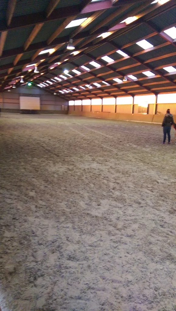 Q-stables pension en trainingstal - foto 1