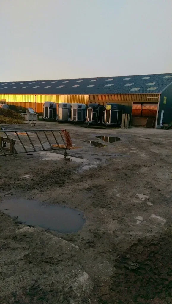 Q-stables pension en trainingstal - foto 2