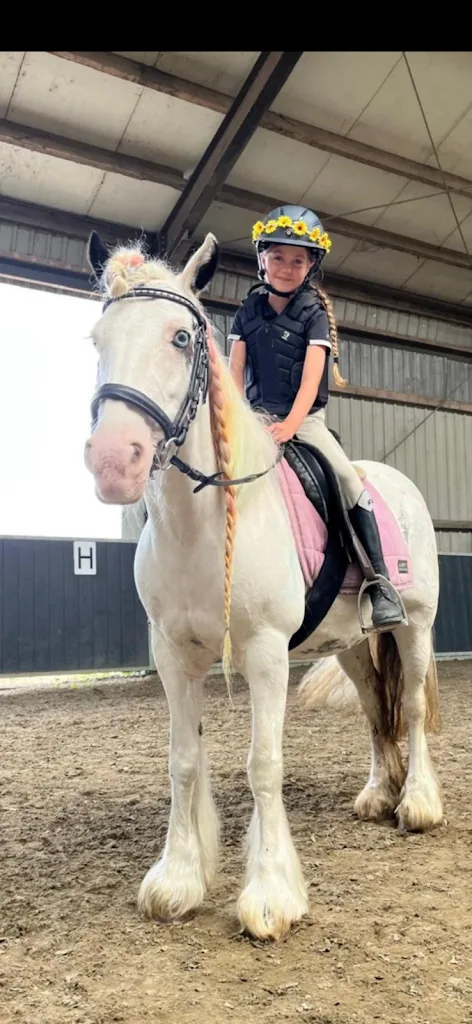 Manege Mariskahoeve - foto 3