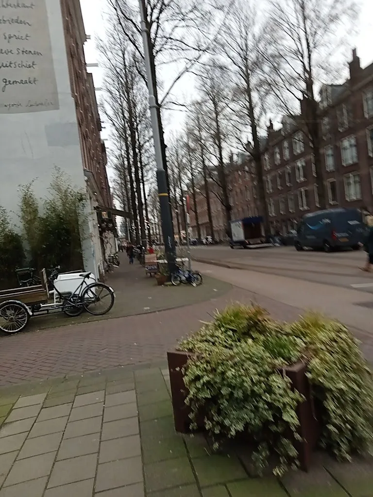 Stalhouderij Braam - foto 2