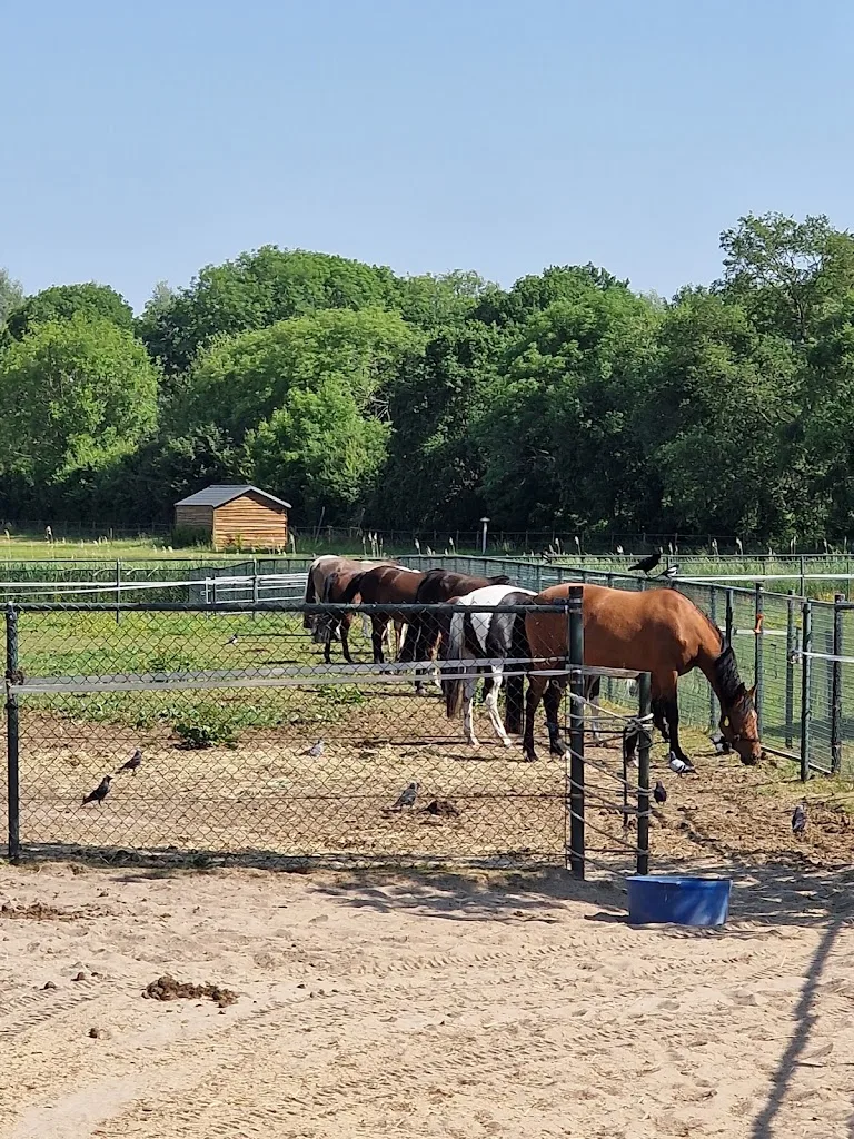 AM Rising Star Ranch - foto 2