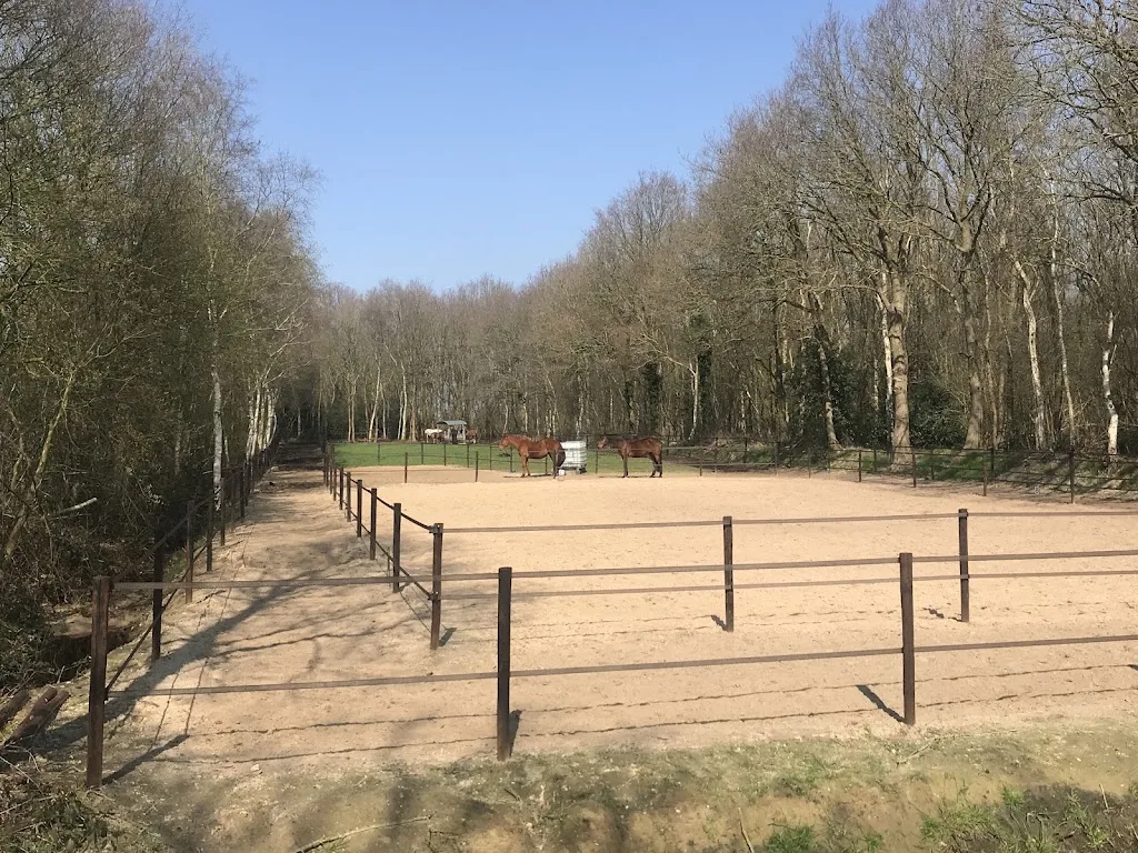 De Paardenweide Paddock Paradise - foto 1