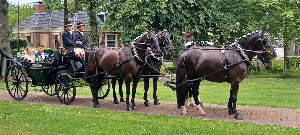 Paardencentrum Op de Heegswal - foto 1