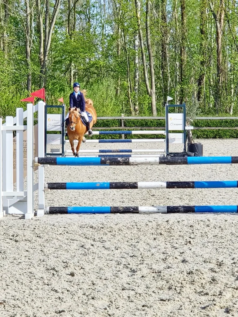 Paardencentrum Op de Heegswal - foto 2