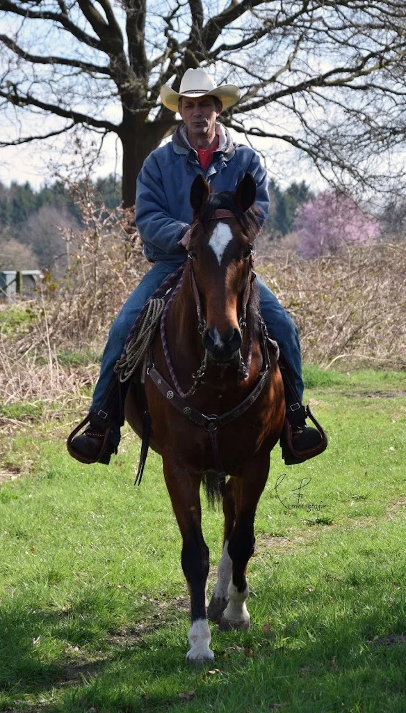 Paardenpension De Leyehoeve - Fokkerij Chess Arabians - foto 2