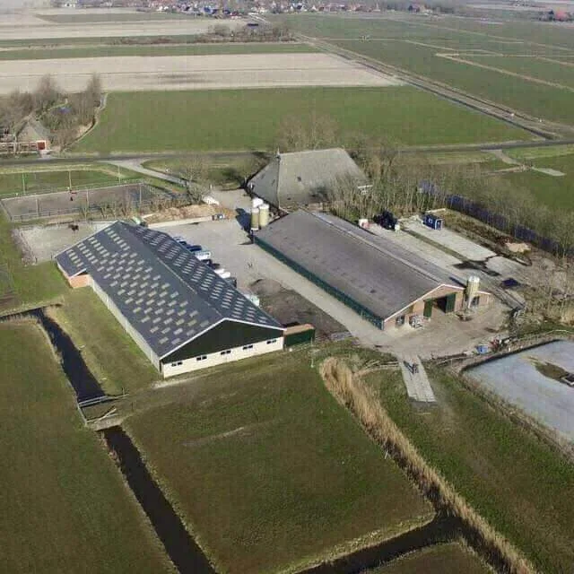 Paardenhouderij Tini Hiemstra - foto 2