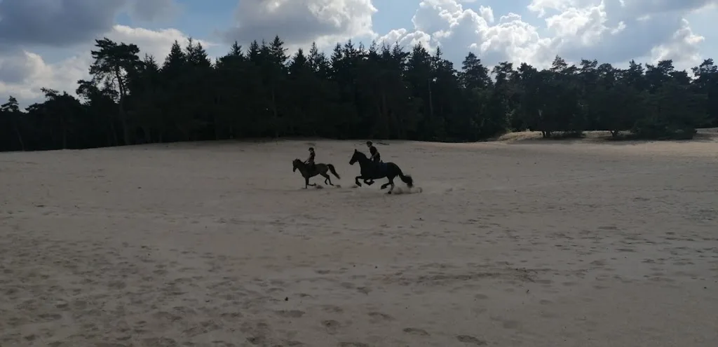 Pony Manege Ommerland - foto 1