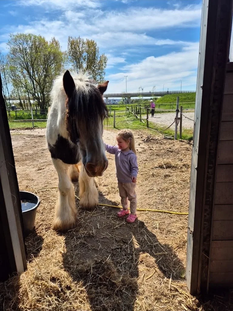 Trainingsstal De Hoeve B.V. - foto 1