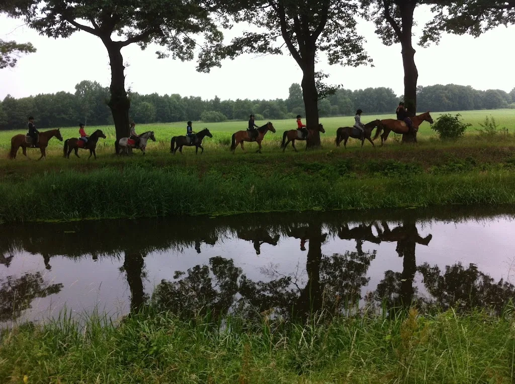 Stal Eijckendonck - foto 2