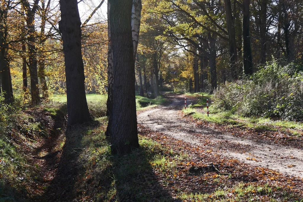 Stal Eijckendonck - foto 3