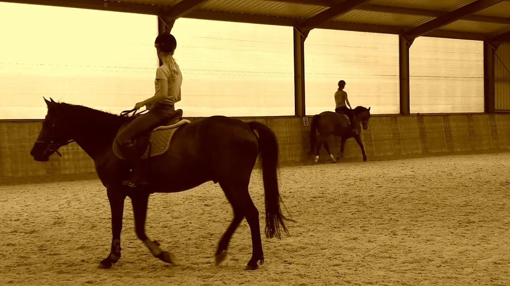 De Ponyclub - foto 3