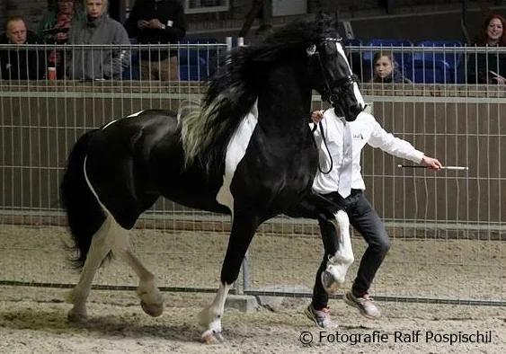Stal Annabel Kleen - foto 3