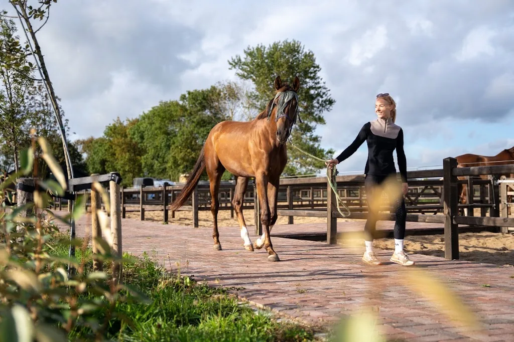 Sepelin Stables - foto 2